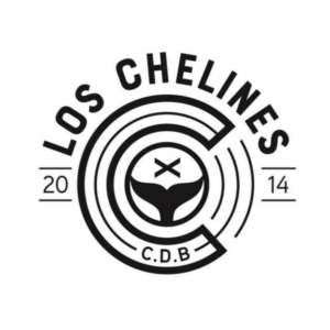 Balonmano Los Chelines